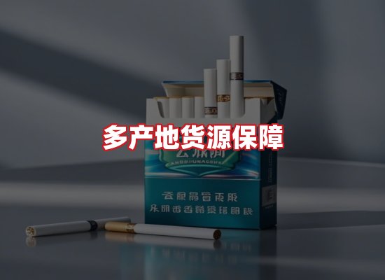 专业团队